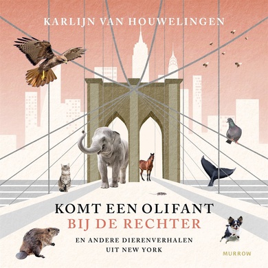 Komt Een Olifant Bij De Rechter Door Karlijn Van Houwelingen Vanaf