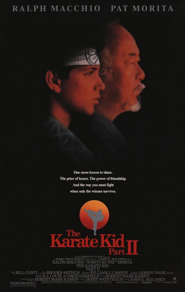 the karate kid netflix series